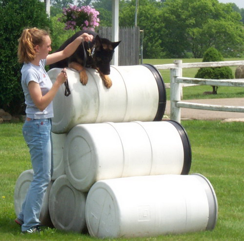 Agility Training